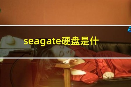 seagate硬盘是什么牌子